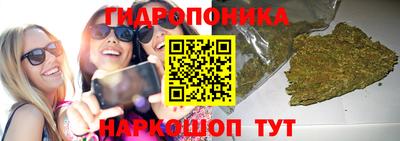 каннабис Боровичи