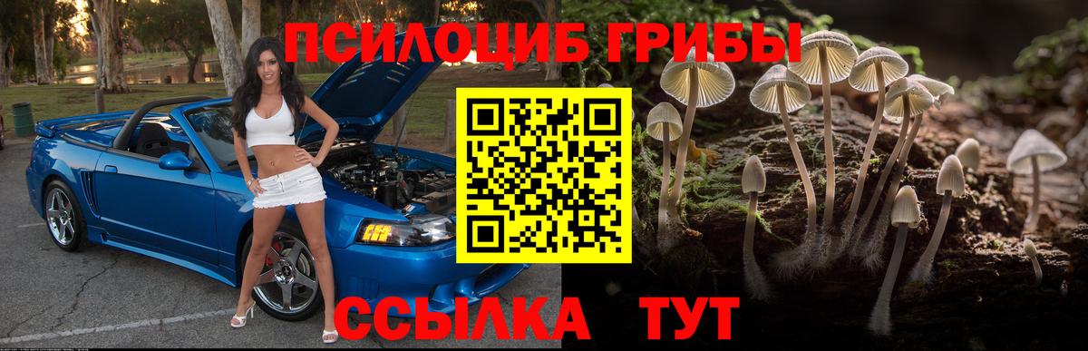 Галлюциногенные грибы Psilocybine cubensis  Вход с VPN  Астрахань 